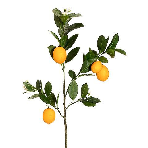 32 Inch Faux Lemon Branch Yellow - Amazing Produce -   9 plants Photography branches ideas