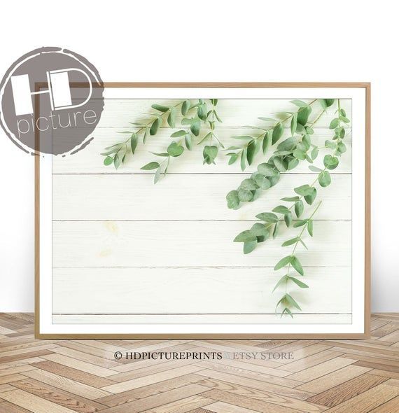 Australian Eucalyptus Leaf Print, Branch Wall Art, Branch Decor, Leaf Decor, Printable Wall Art, Plant Photography Poster, Digital Download -   9 plants Photography branches ideas