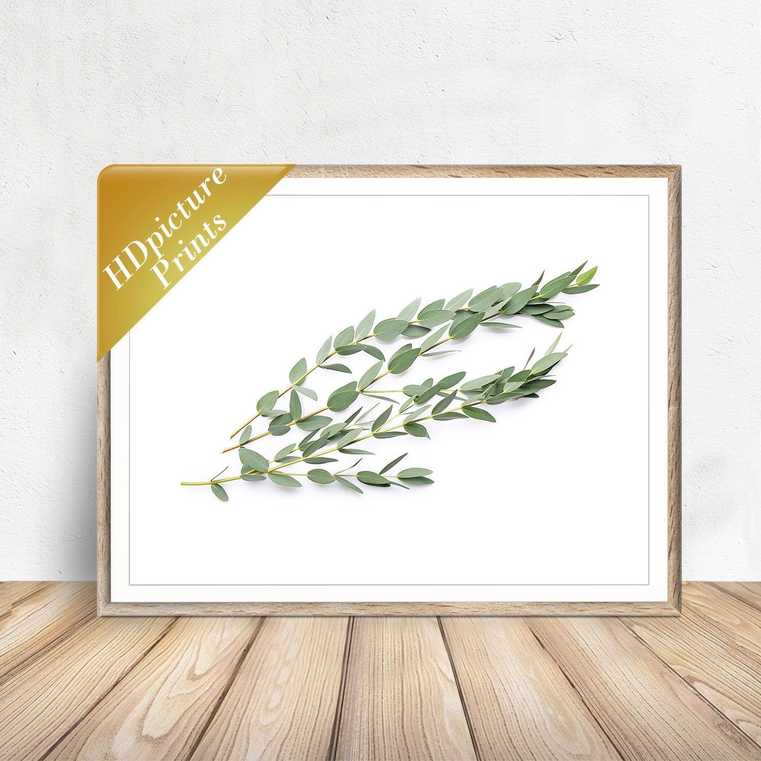 Leaf Print,Australian Eucalyptus Branch Wall Art,Tree Branch Decor,Leaf Decor,Printable Wall Art,Plant Photography Poster,Digital Download -   9 plants Photography branches ideas