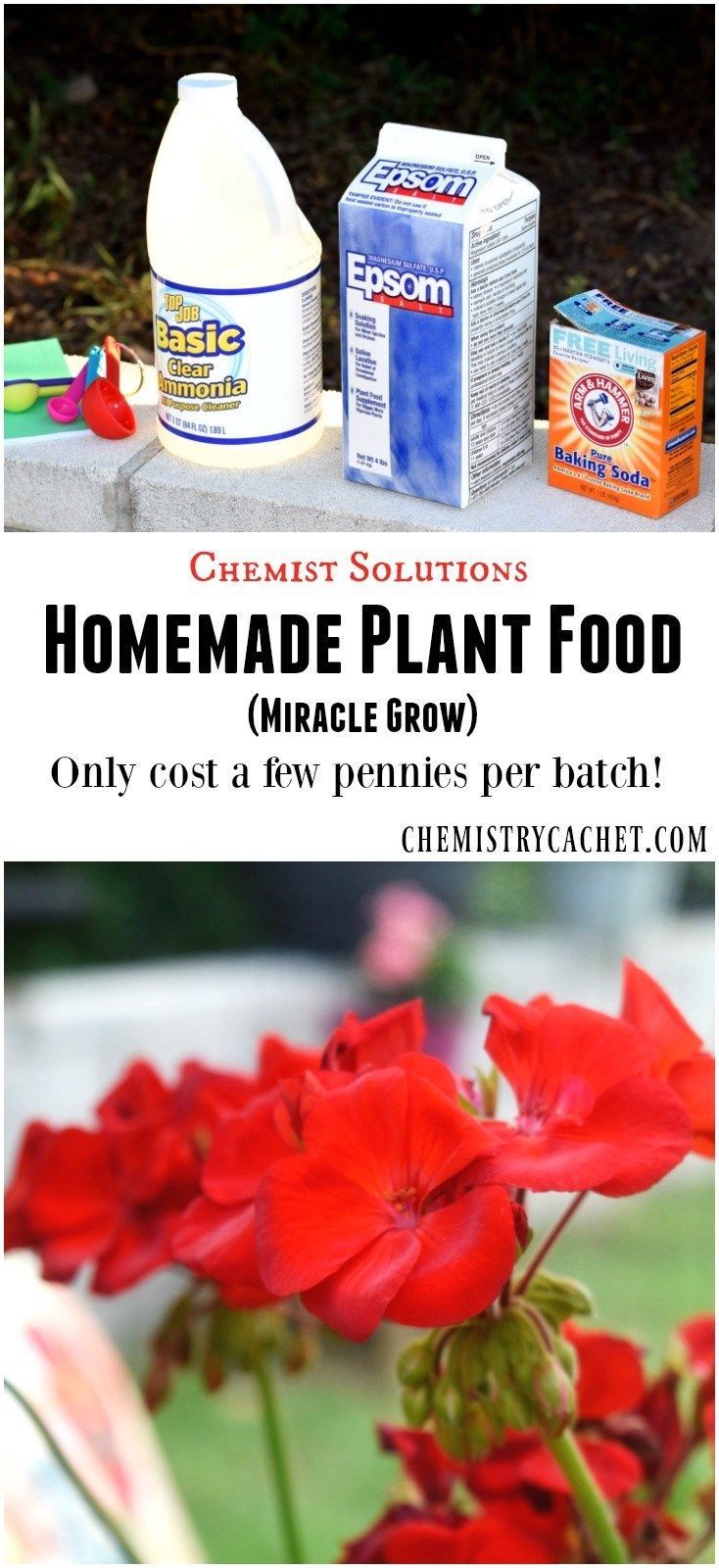 Chemist Solutions: Easy Homemade Plant Food Recipe -   13 planting healthy ideas