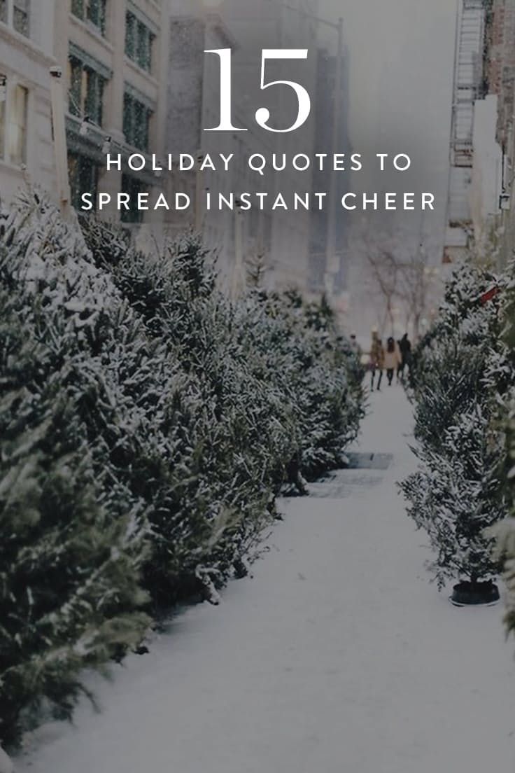 15 Holiday Quotes to Spread Some Serious Christmas Cheer -   16 holiday Time quotes ideas