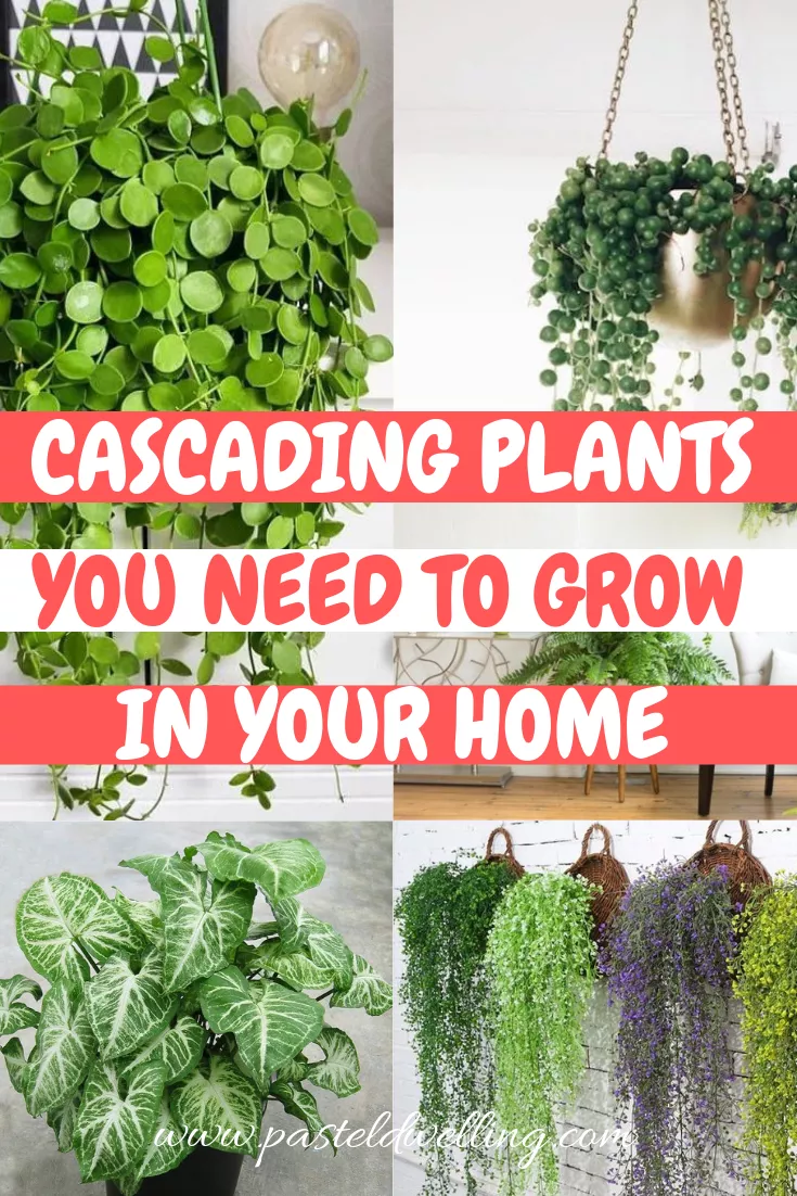 10 Cascading Plants You Can Grow Indoors for Home Decoration -   17 planting Interior indoor ideas