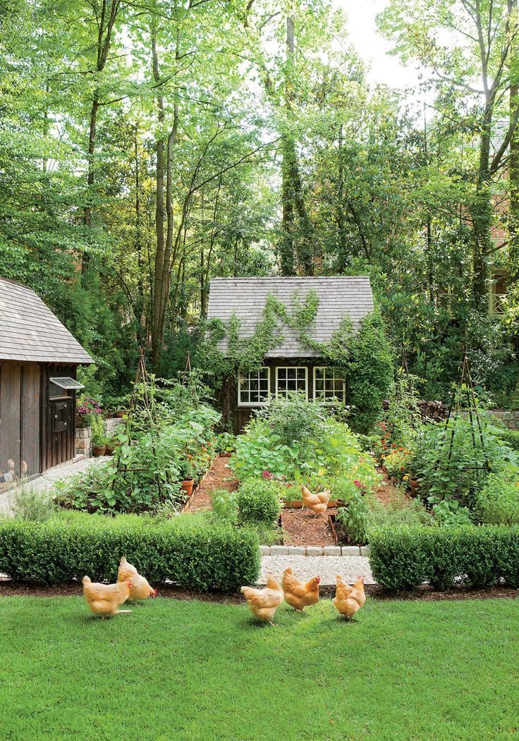 14 garden design Country backyards ideas