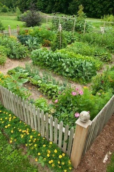 Vegetable Garden Layouts / Plans - Sweet Southern Blue -   14 garden design Country backyards ideas