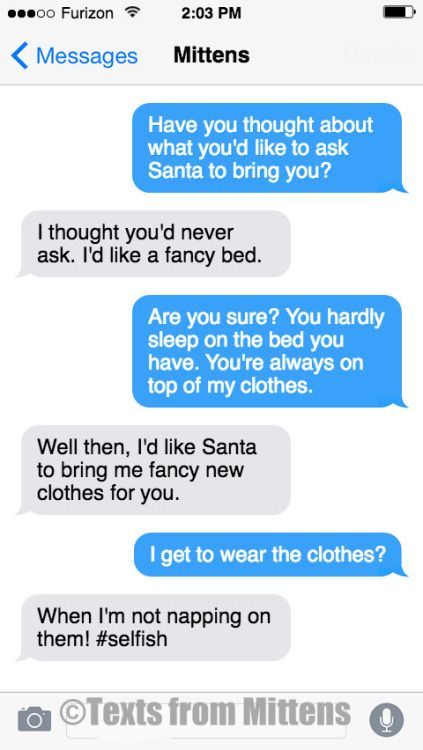 15 Purrfect Holiday Texts From Mittens -   14 holiday Text words ideas