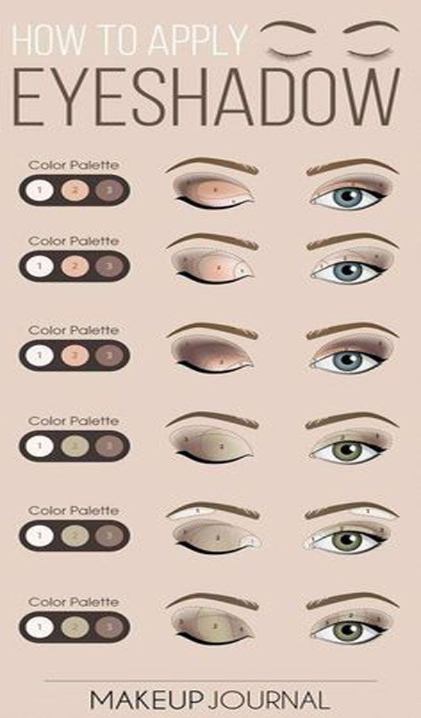 How to apply eye-shadow -   14 makeup For Beginners eyebrows ideas