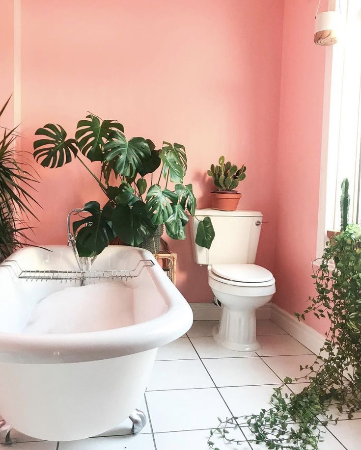 14 planting Interior bathroom ideas