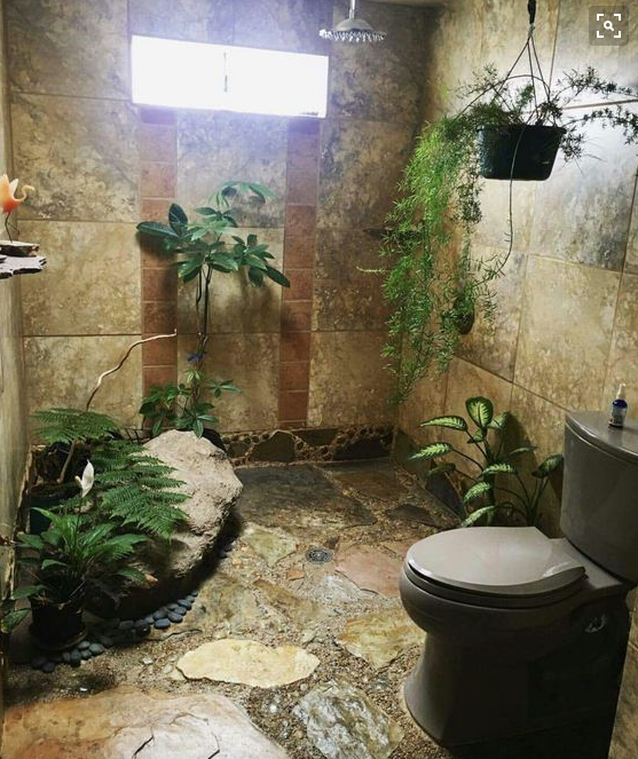 'Shower plants' will give you the perfect Insta-worthy bathroom -   14 planting Interior bathroom ideas