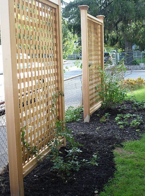 Step by Step Instructions on how to build your own Privacy Screens • Lindsay Stephenson -   15 garden design Backyard privacy screens ideas