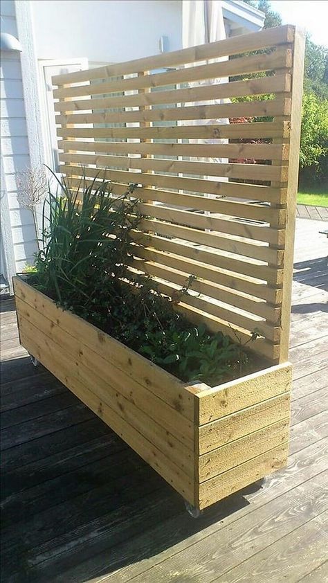 Wonderful Creations with Old Shipping Wooden Pallets -   15 garden design Backyard privacy screens ideas