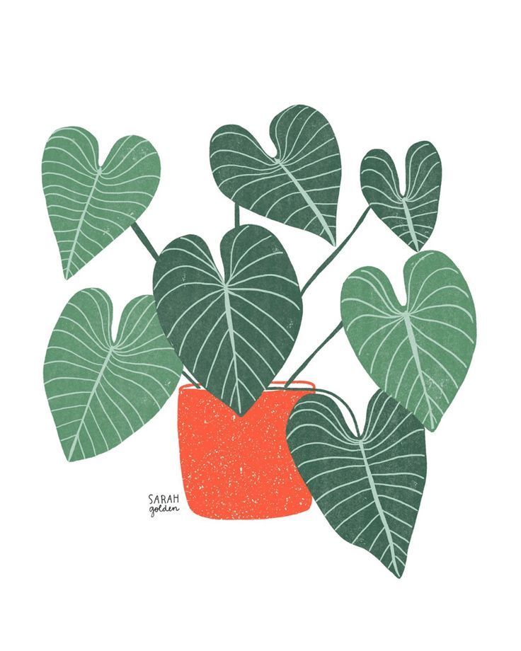 Philodendron No. 1 Print -   15 planting Art girl ideas