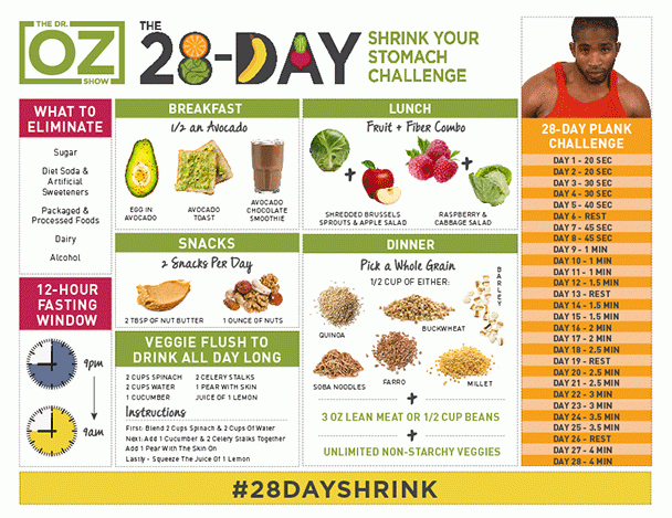 28 Day Shrink Your Stomach Challenge Recipes on Dr Oz, Food Chart - Fly Into The World -   16 diet Detox dr oz ideas