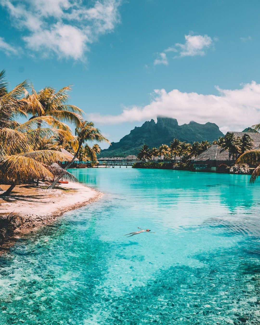 50 Questions with tropical travel influencer Salty Luxe -   16 travel destinations Tropical summer ideas