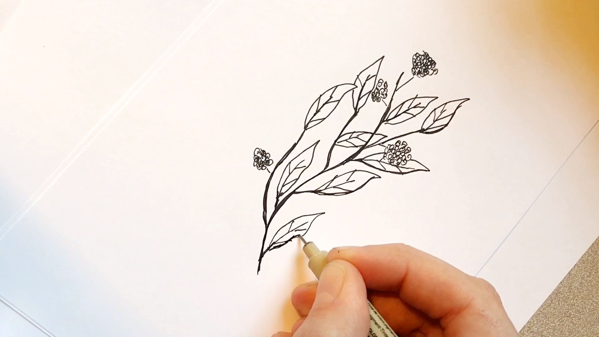 17 plants Drawing design ideas