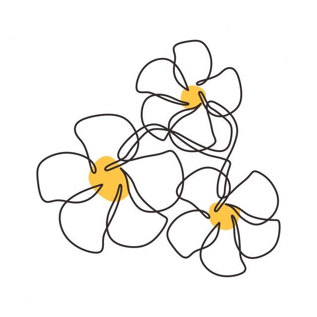 One Line Drawing Of Plumeria Flower Minimalist Design Yellow And White Flowers Hawaiian Balinese And Tropical Theme -   17 plants Drawing design ideas