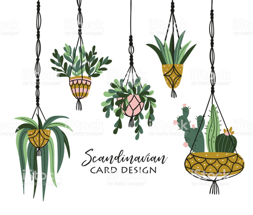 Macrame plant hangers in scandinavian interior. Vector stylish... -   17 plants Drawing design ideas