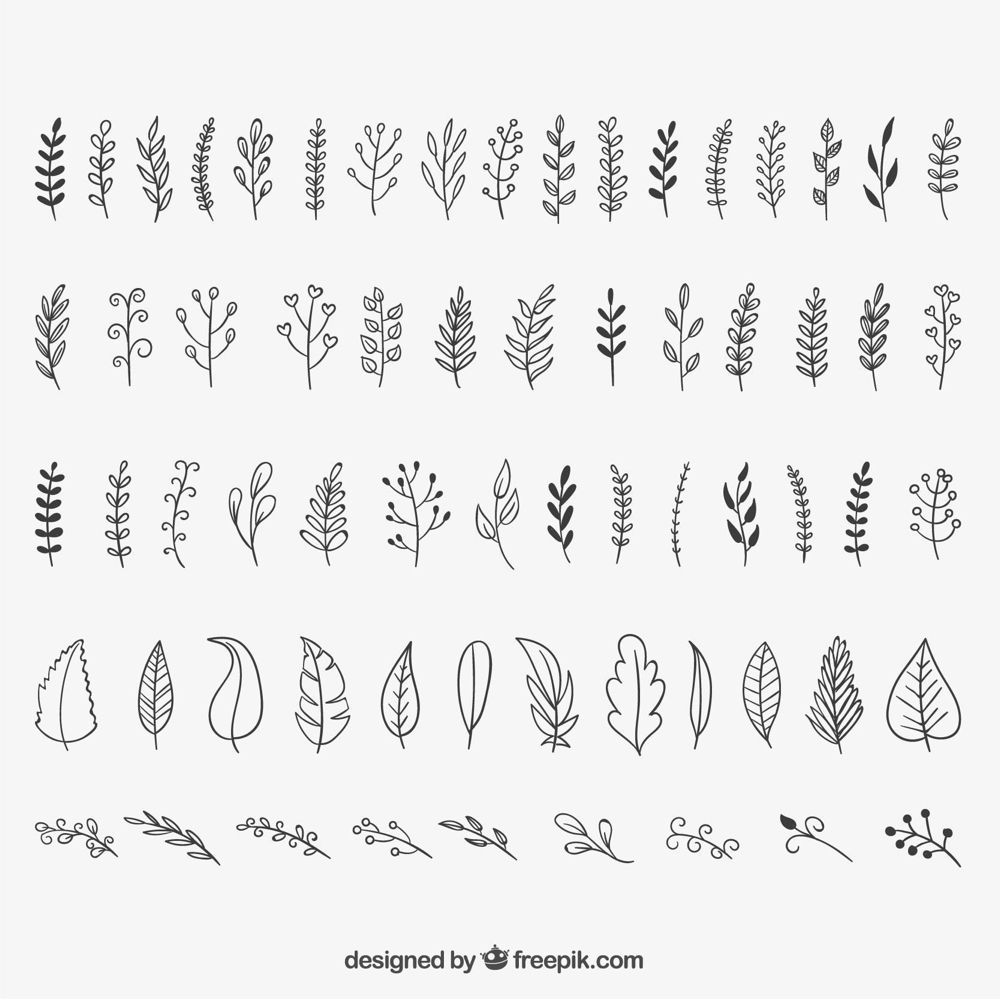 17 plants Drawing design ideas