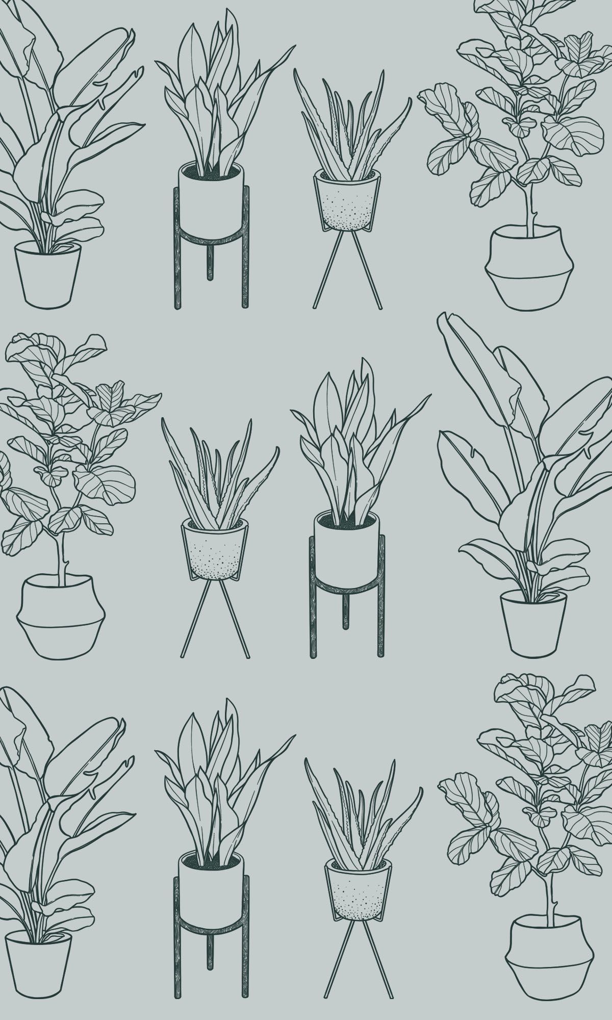 17 plants Drawing design ideas