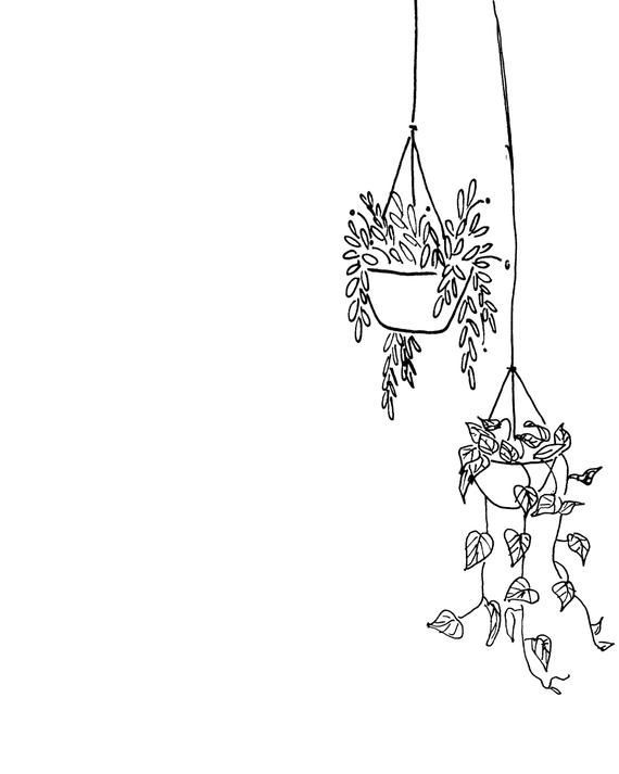 Black and White Hanging Plants Printable | Instant Digital Download -   17 plants Drawing design ideas