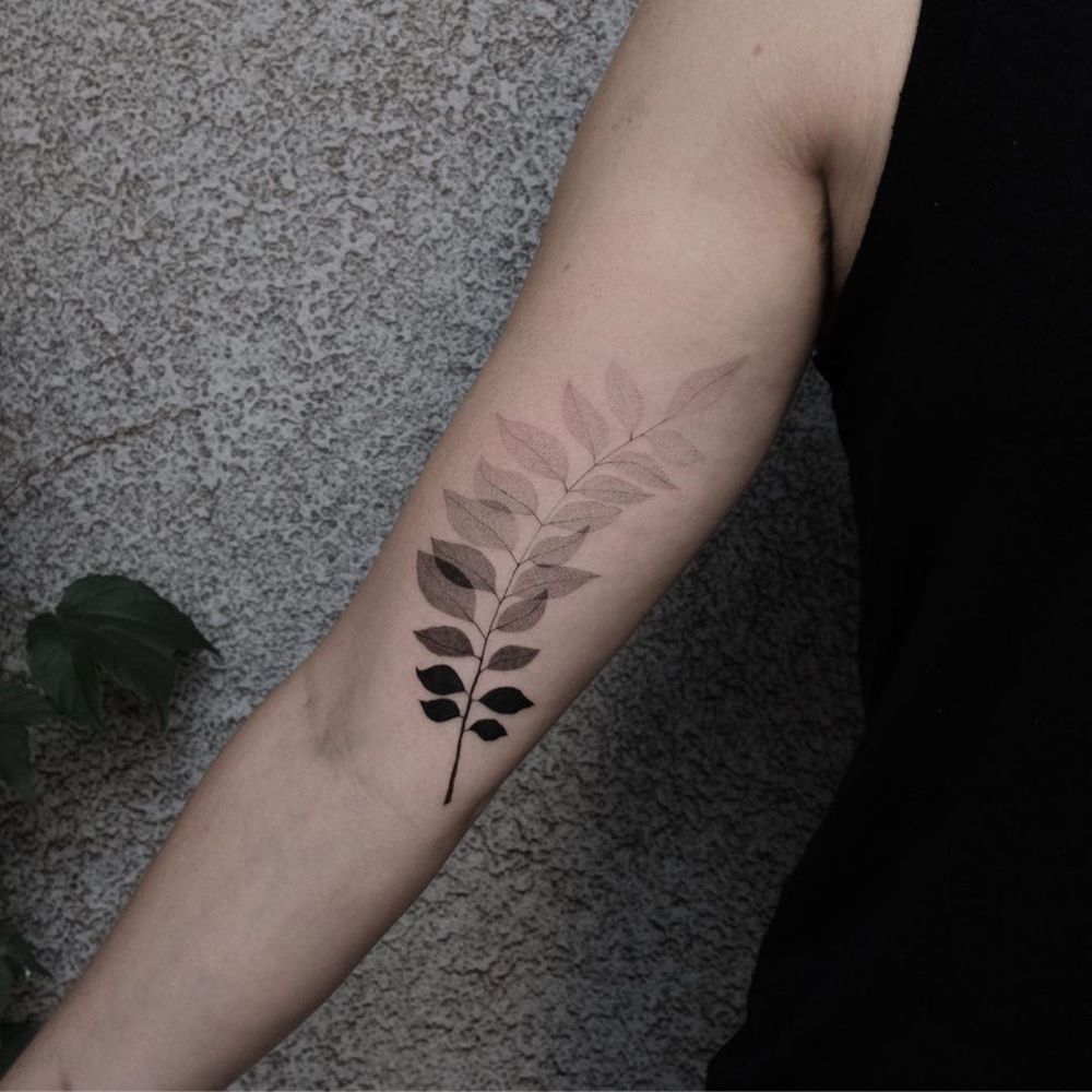 Axel Ejsmont on Instagram: “In Ayurvedic medicine, curry рџЊїare believed to have several medicinal properties: anti-diabetic, antioxidant, antimicrobial, anti-…” -   17 plants Tattoo arm ideas