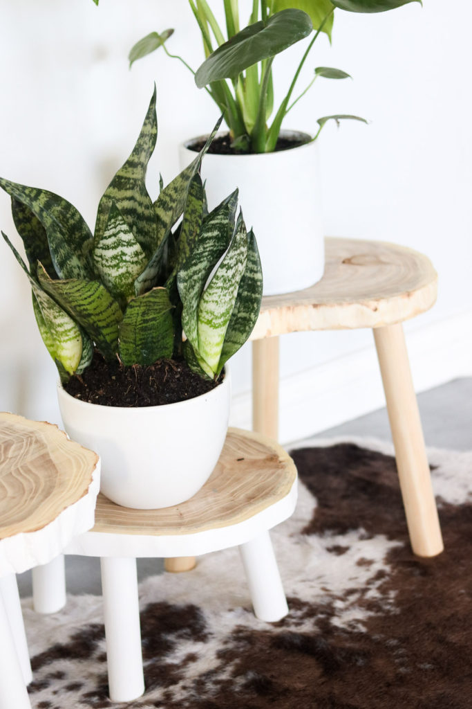 DIY Plant STANDS FOR $7-QUICK AND EASY! WOOD PLANTS STANDS -   18 plants DIY wood ideas