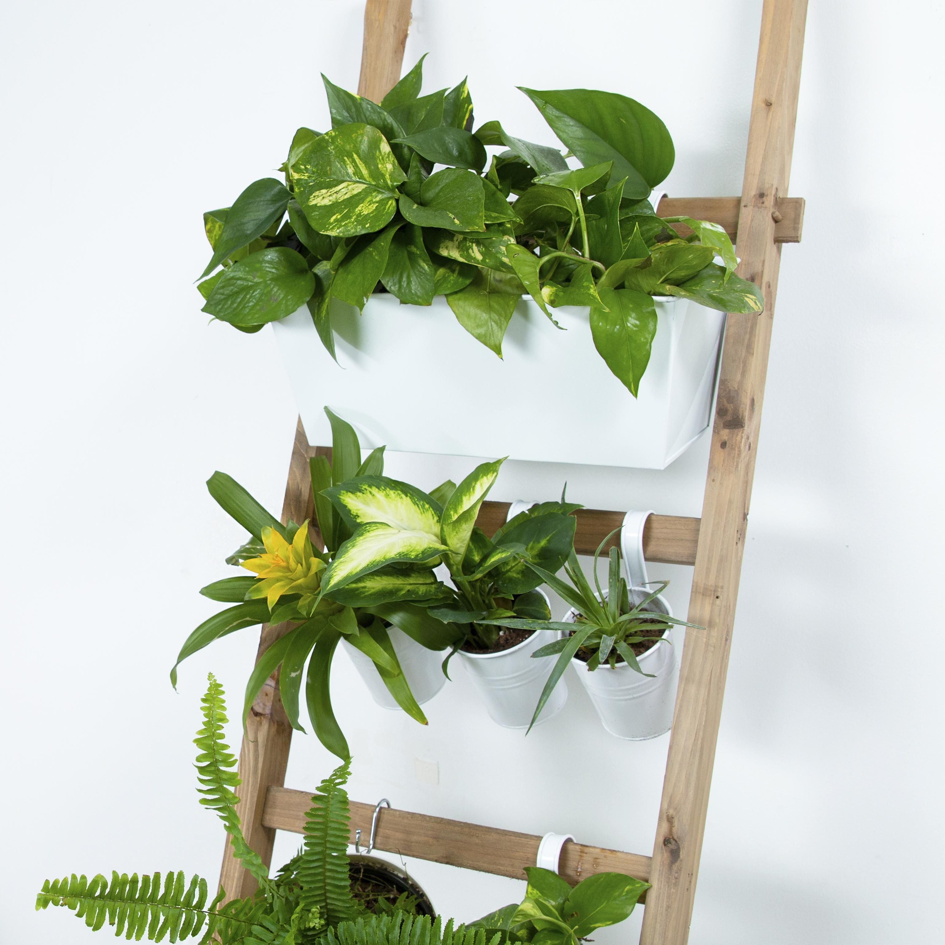 Easy Indoor Ladder Garden -   18 plants DIY wood ideas