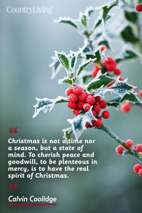 Christmas Quotes That Capture the Spirit of the Holiday -   19 holiday Quotes seasons ideas