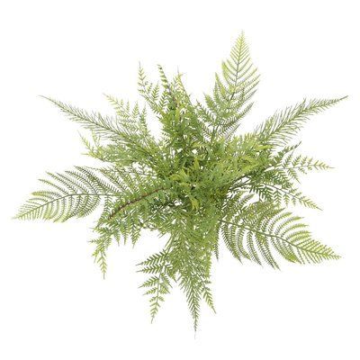 Bay Isle Home Artificial Mixed Meadow Fern Bush Desktop Foliage Plant | Wayfair -   13 table plants Png ideas