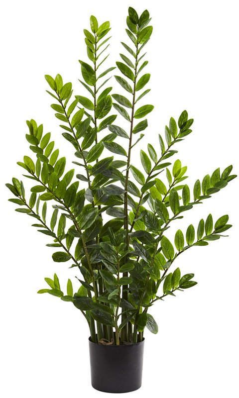 Nearly Natural 4' Zamioculcas Artificial Plant & Reviews - All Botanicals - Home Decor - Macy's -   13 table plants Png ideas