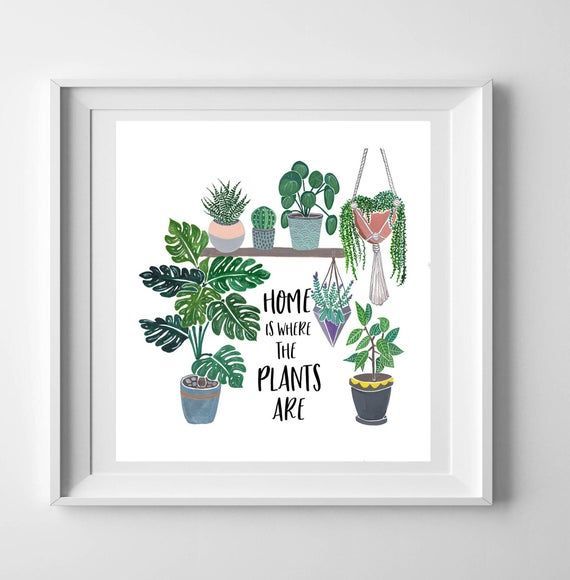 Home is where the plants are - Plant lady gift - Plant illustration - Plant lover gift - Monstera - Housewarming gift - plant print -   14 growing plants Illustration ideas