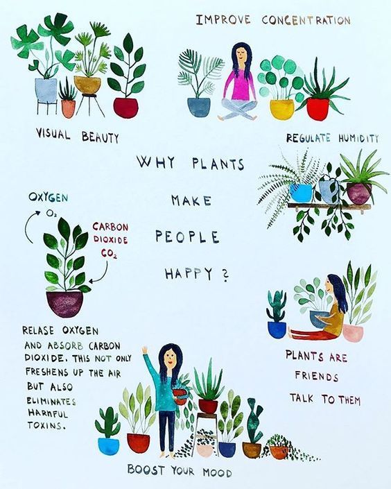 Why plants make people happy -   14 growing plants Illustration ideas
