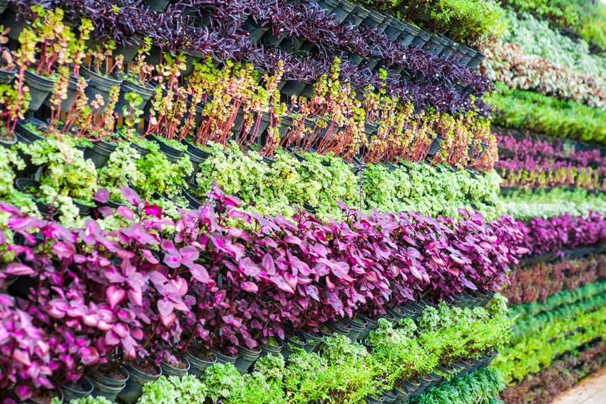 55 Best Vertical Garden Ideas (Planters & DIY Kits) -   14 plants Background backyards ideas