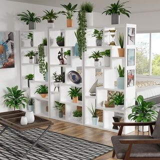 Overstock.com: Online Shopping - Bedding, Furniture, Electronics, Jewelry, Clothing & more -   15 plants Aesthetic simple ideas