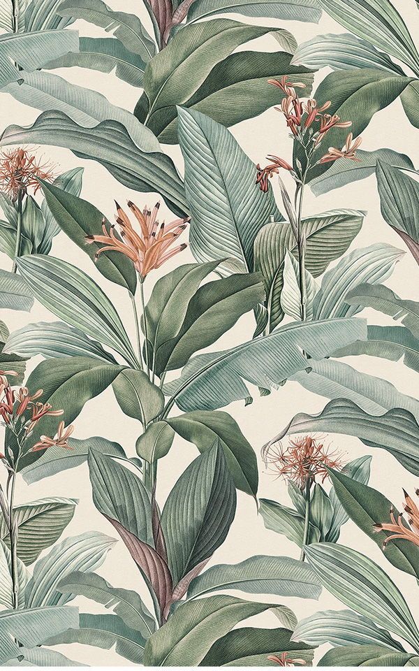 Tropical Chic Wallpaper | Peach & Green Design | MuralsWallpaper -   15 plants Wallpaper illustrations ideas