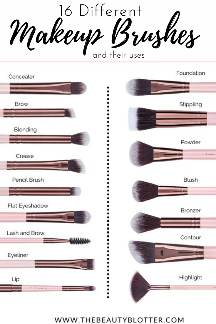 THE COMPLETE LIST OF MAKEUP BRUSHES AND THEIR USES | The Beauty Blotter -   16 makeup Drugstore brushes ideas