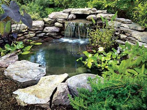 Build Your Own Pond -   17 garden design Backyard fish ponds ideas