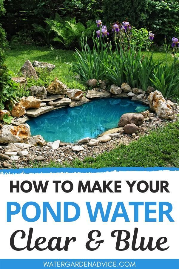 How To Make Your Pond Water Clear Blue -   17 garden design Backyard fish ponds ideas