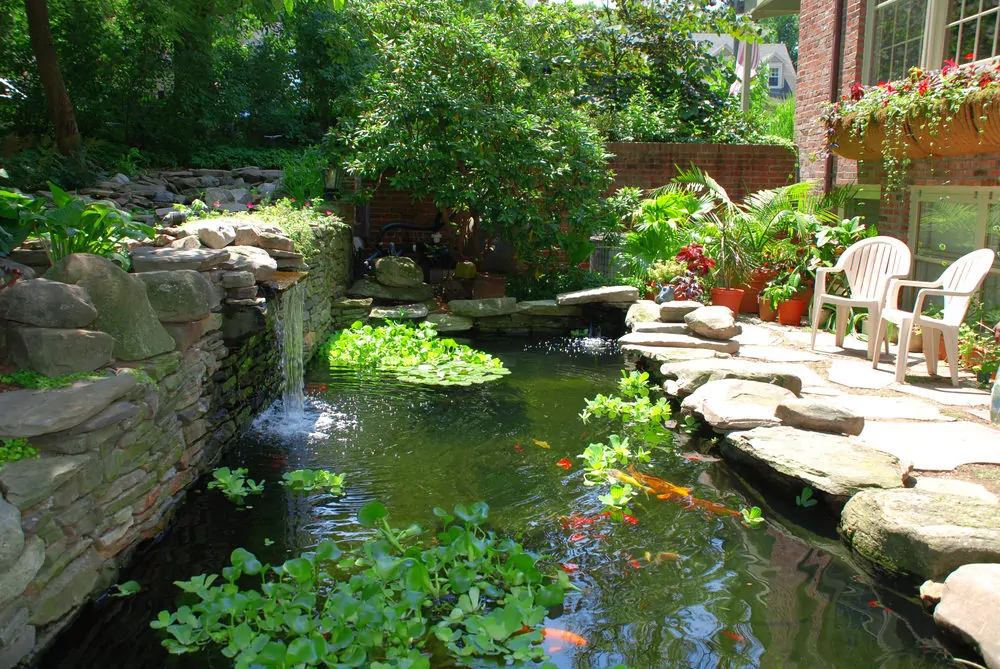 60 Backyard Pond Ideas (Photos) -   17 garden design Backyard fish ponds ideas