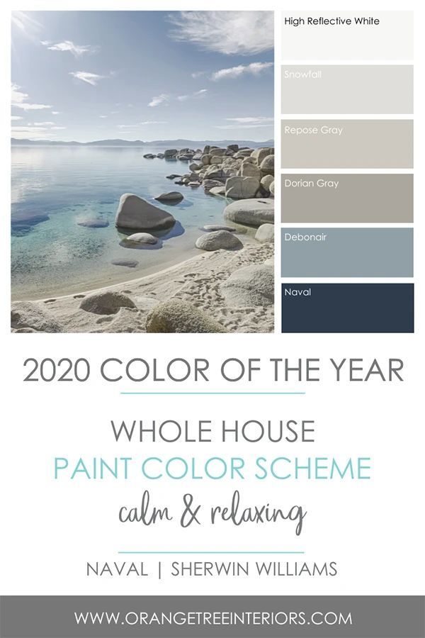 2020 Colour of the Year! + The Best Paint Finishes for Your Home -   19 room decor Paintings colour ideas