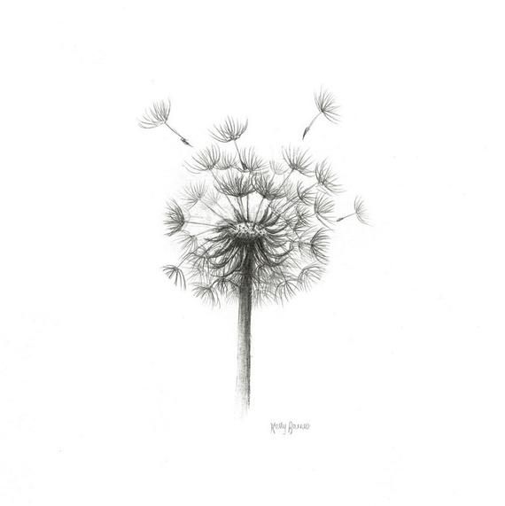 Dandelion Seed Head Print | Botanical Drawing | Hand-Drawn Pencil Sketch | UK Artist -   11 planting Drawing pencil ideas