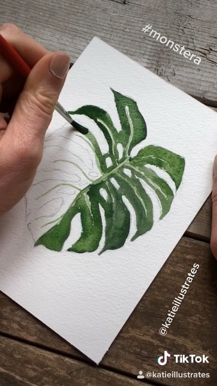 Monstera Watercolor Painting Video -   13 plants Illustration paint ideas