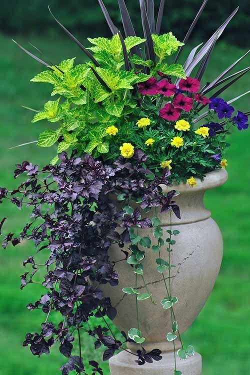 6 Simple Tricks for Beautiful Garden Containers | Gardener's Path -   15 plants Beautiful simple ideas