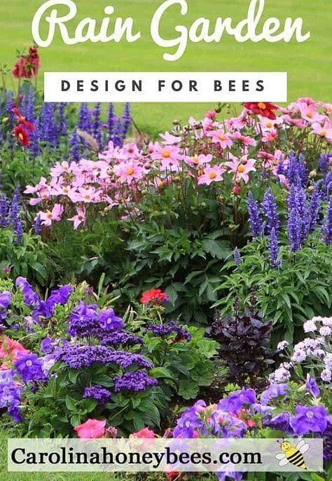 Increase Bee Habitat With Rain Gardens - Carolina Honeybees -   17 garden design Home nature ideas