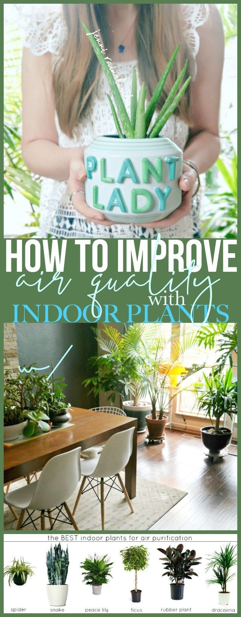 Improve Indoor Air Quality with Plants! - Jenni Raincloud -   18 plants Air quality ideas