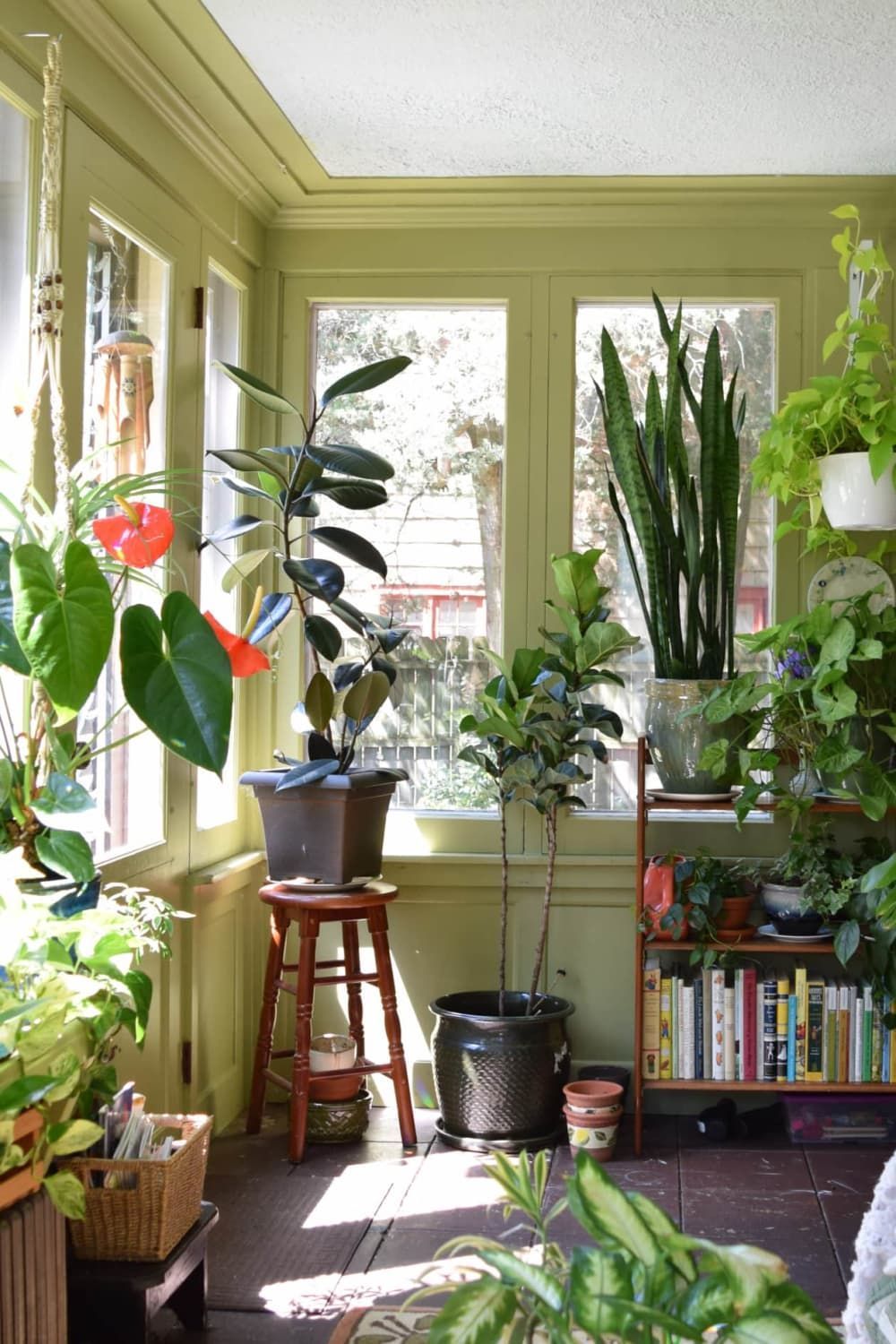 Sage Green Is the New Neutral You Need to Know About -   18 plants Apartment beautiful ideas