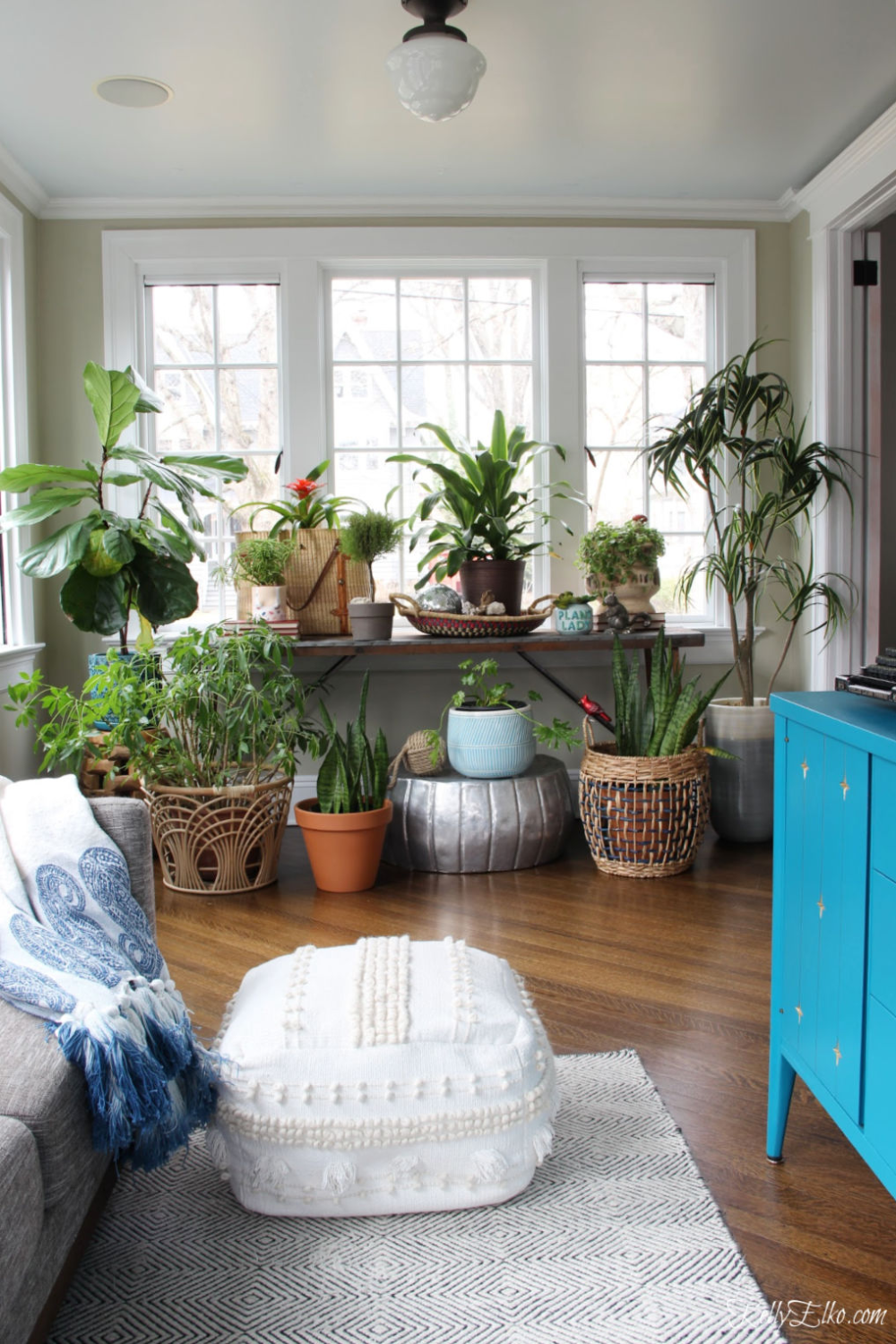 Crazy Plant Lady Sunroom -   18 plants Apartment beautiful ideas