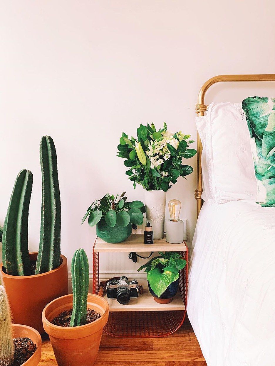 The Plant Kween's Apartment Is Home to Over 160 “Green Gurls” -   18 plants Apartment beautiful ideas