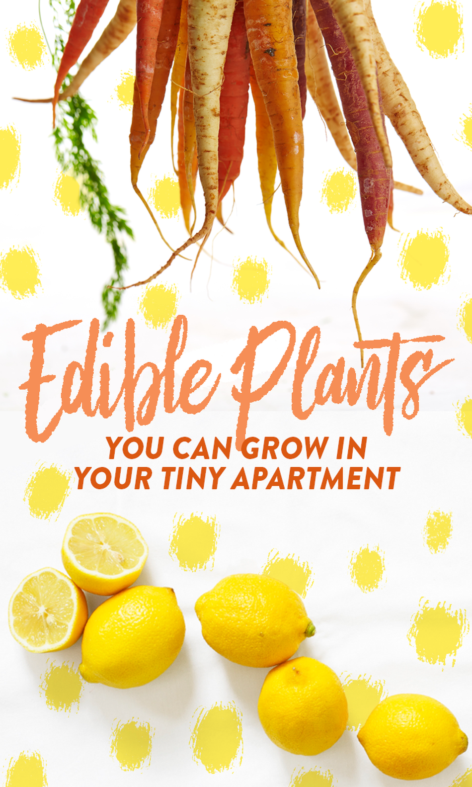 15 edible plants you can grow in your tiny apartment -   18 plants Apartment beautiful ideas