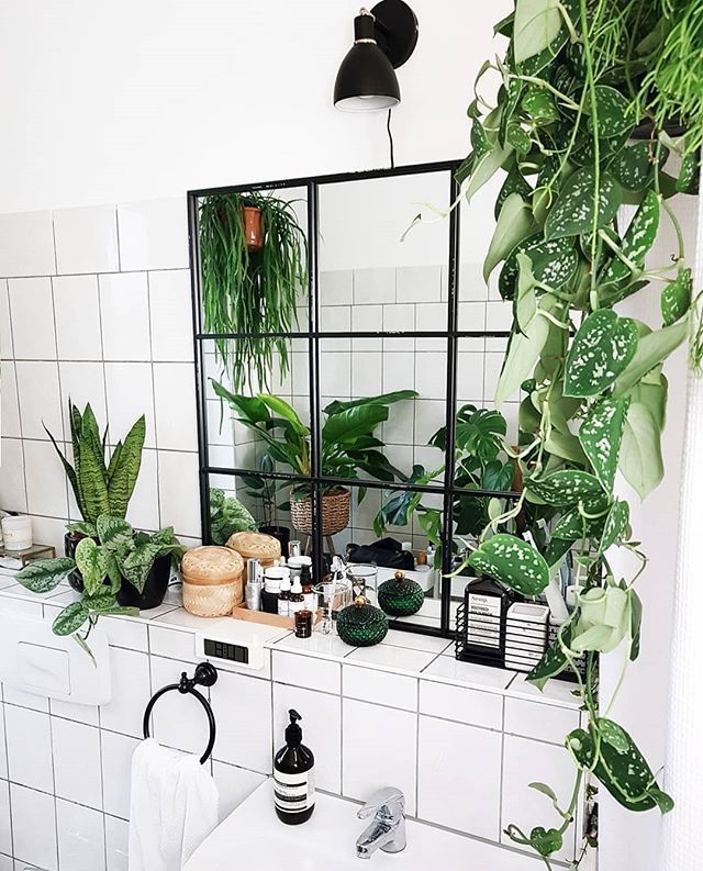 8 Beautiful Hanging Plants Perfect For Apartments - TheFab20s -   18 plants Apartment beautiful ideas