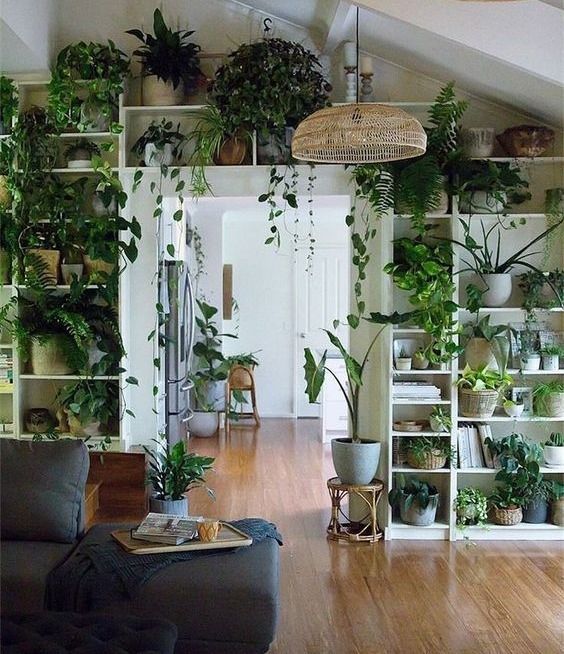 Nature's art -   18 plants Apartment beautiful ideas